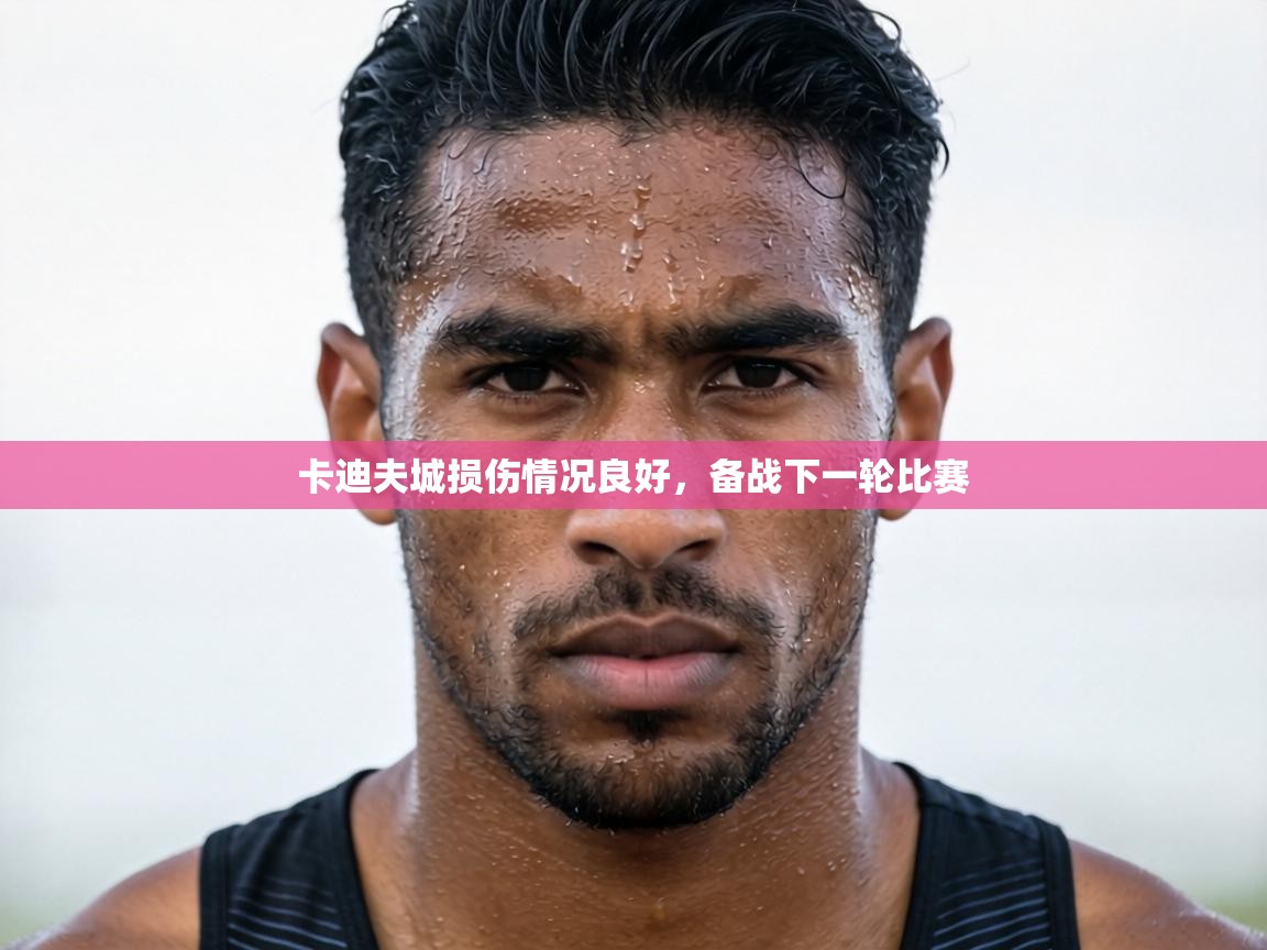 卡迪夫城损伤情况良好，备战下一轮比赛  第2张